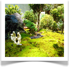 Dapacu Miniature Forest Galleries